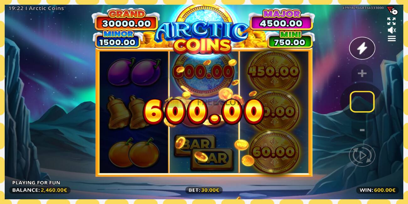 Demo slot Arctic Coins free and without registration, picture - 1