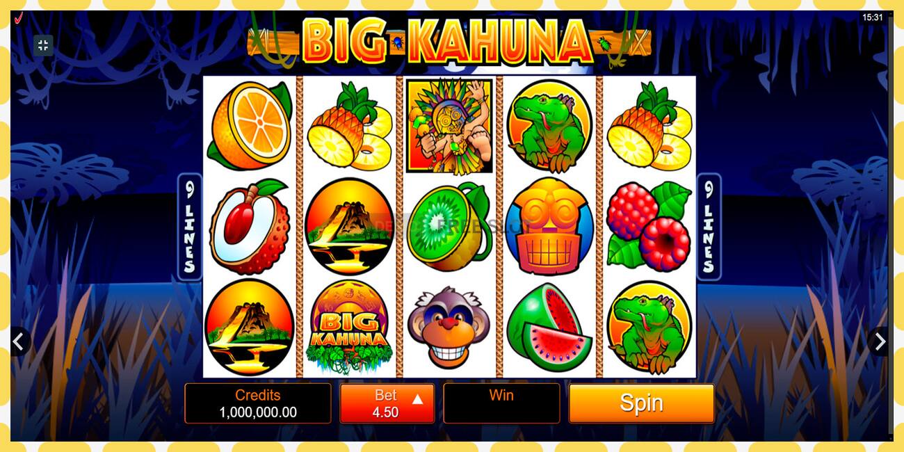 Demo slot Big Kahuna free and without registration, picture - 1