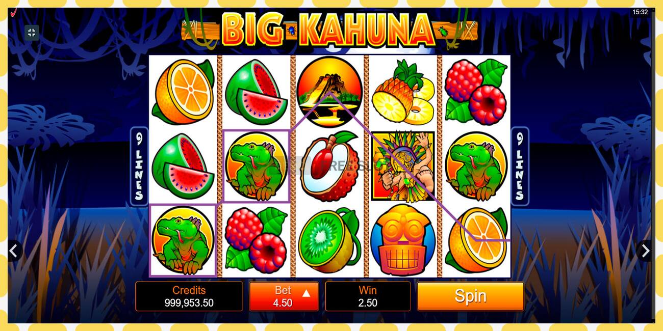 Demo slot Big Kahuna free and without registration, picture - 1