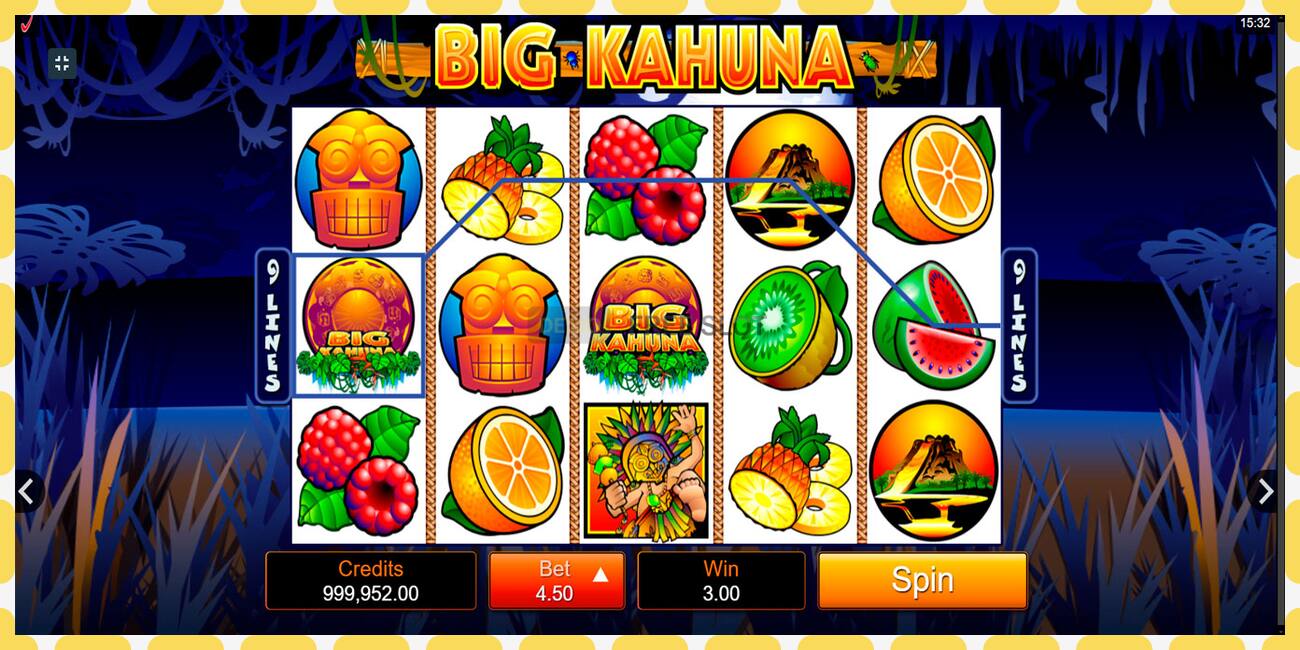 Demo slot Big Kahuna free and without registration, picture - 1