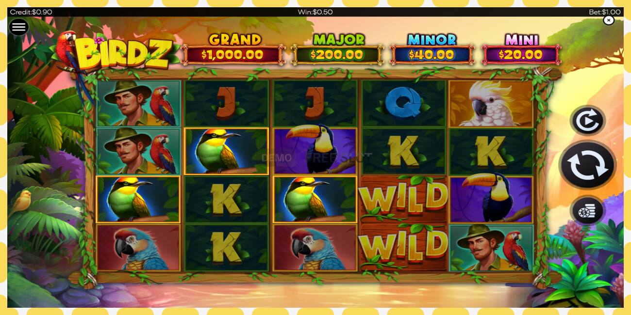 Demo slot BIRDZ free and without registration, picture - 1