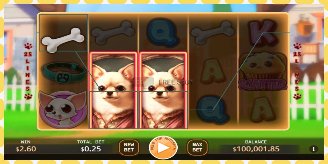 Demo slot Chihuahua Party free and without registration, picture - 1