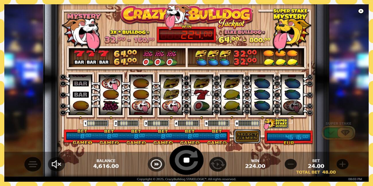 Demo slot Crazy Bulldog free and without registration, picture - 1