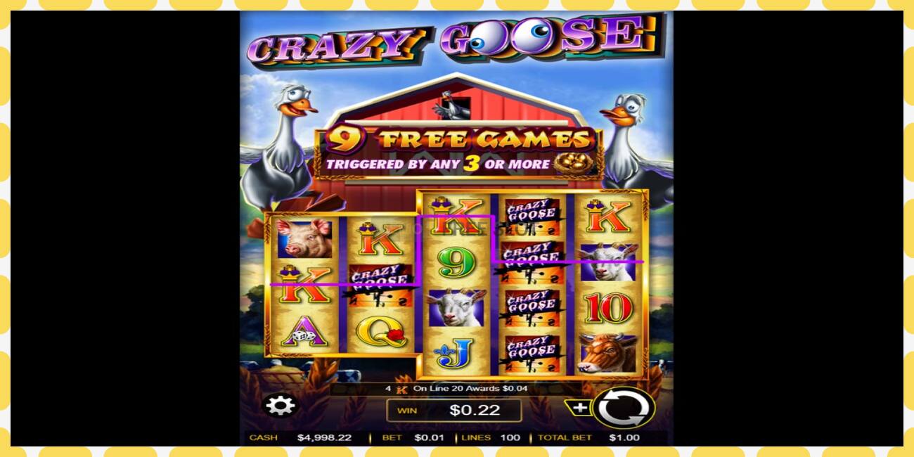 Demo slot Crazy Goose free and without registration, picture - 1