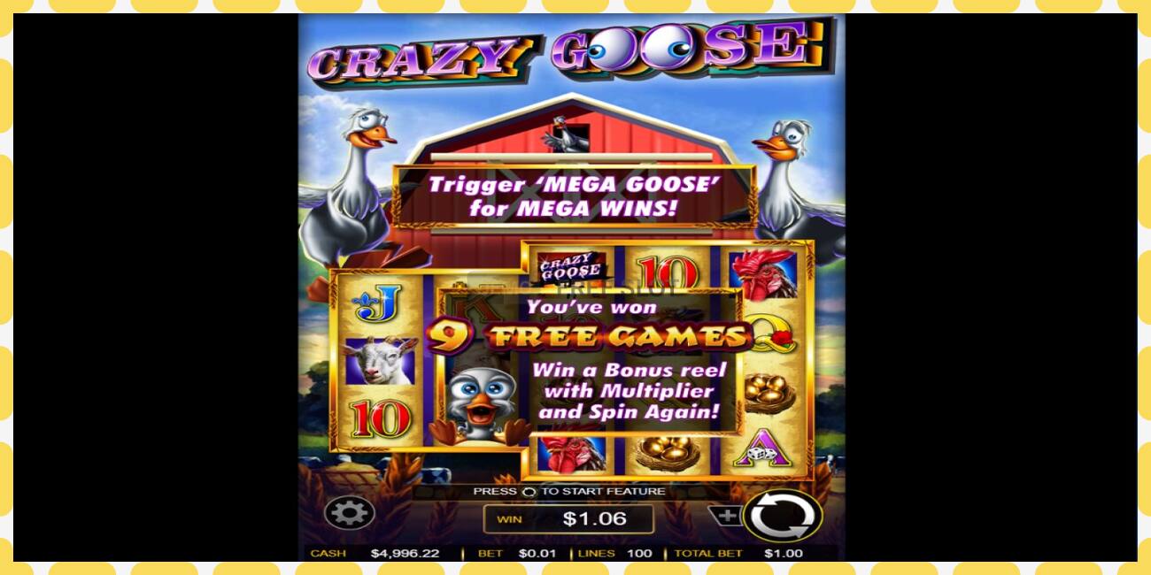 Demo slot Crazy Goose free and without registration, picture - 1