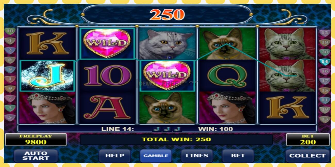 Slot dimostrativo Diamond Cats gratuito e senza registrazione, immagine - 1