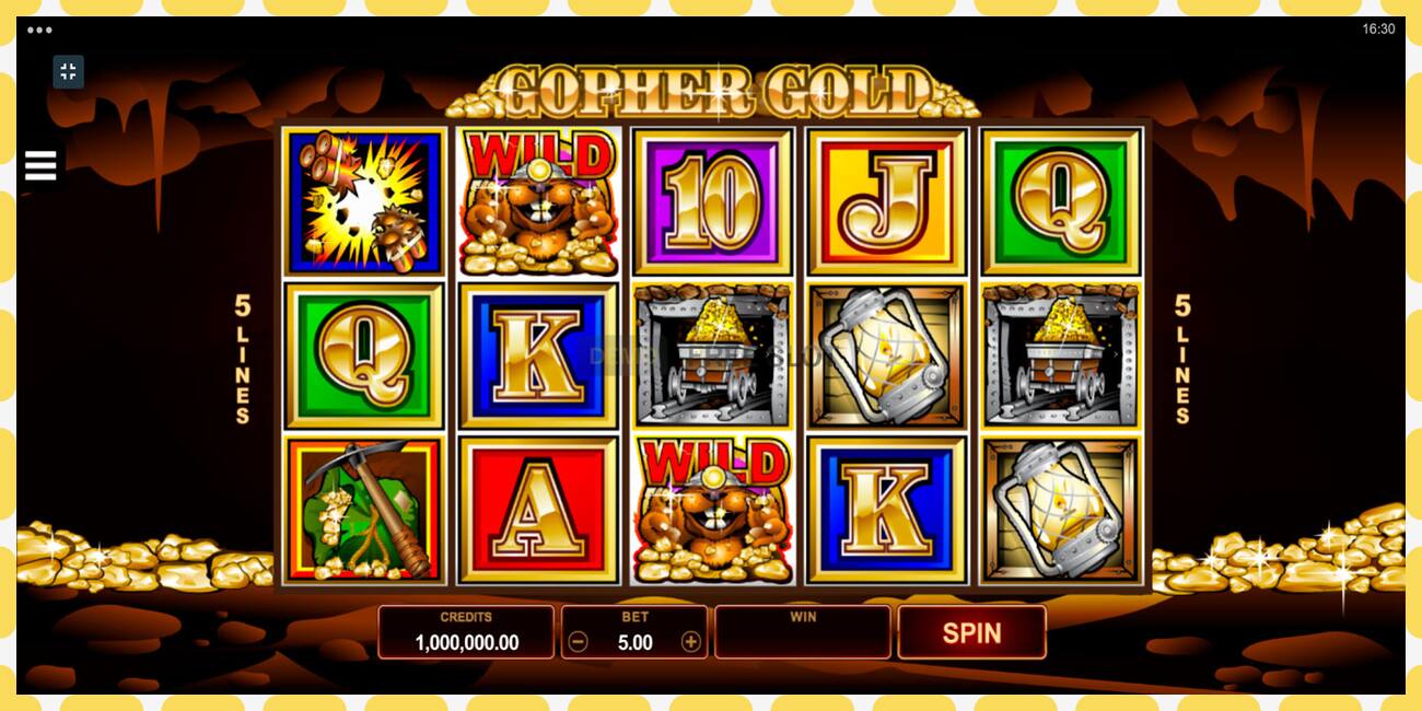 Demo slot Gopher Gold free and without registration, picture - 1