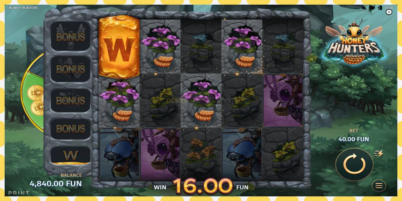 Demo slot Honey Hunters free and without registration, picture - 1