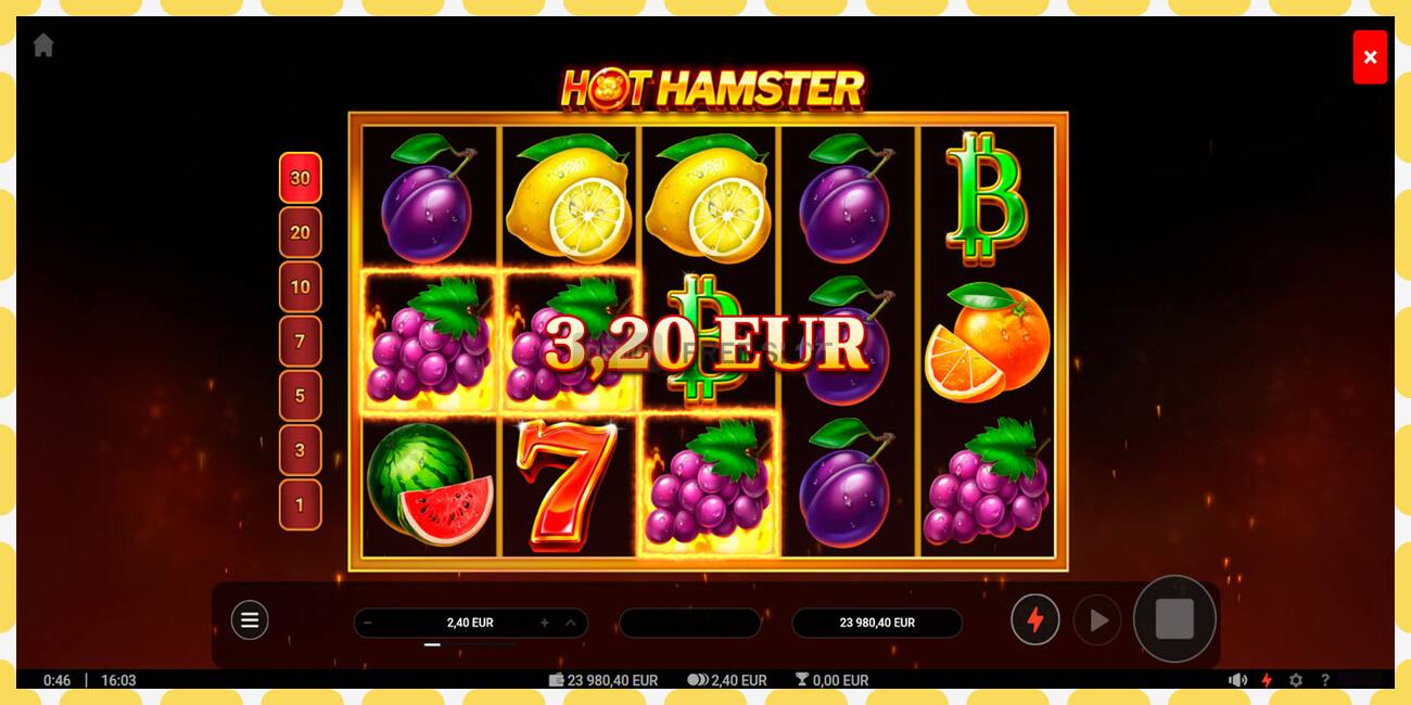 Demo slot Hot Hamster නොමිලේ සහ ලියාපදිංචියකින් තොරව, පින්තූරය - 1