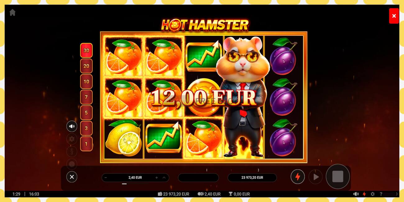 Demo slot Hot Hamster නොමිලේ සහ ලියාපදිංචියකින් තොරව, පින්තූරය - 1