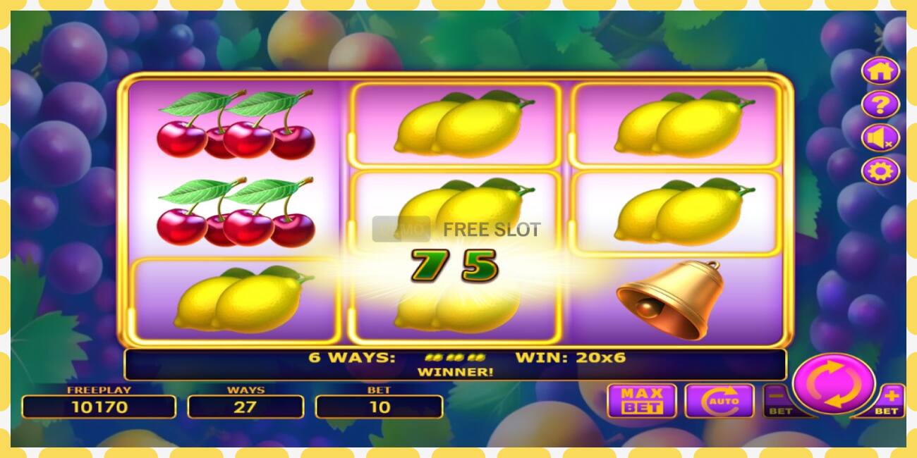 Demo slot Juicy Doubles free and without registration, picture - 1