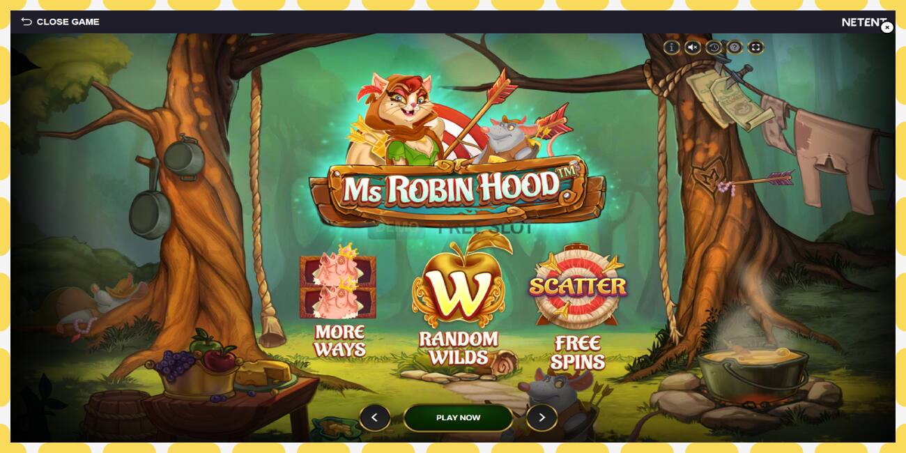 Demo slot Ms Robin Hood free and without registration, picture - 1