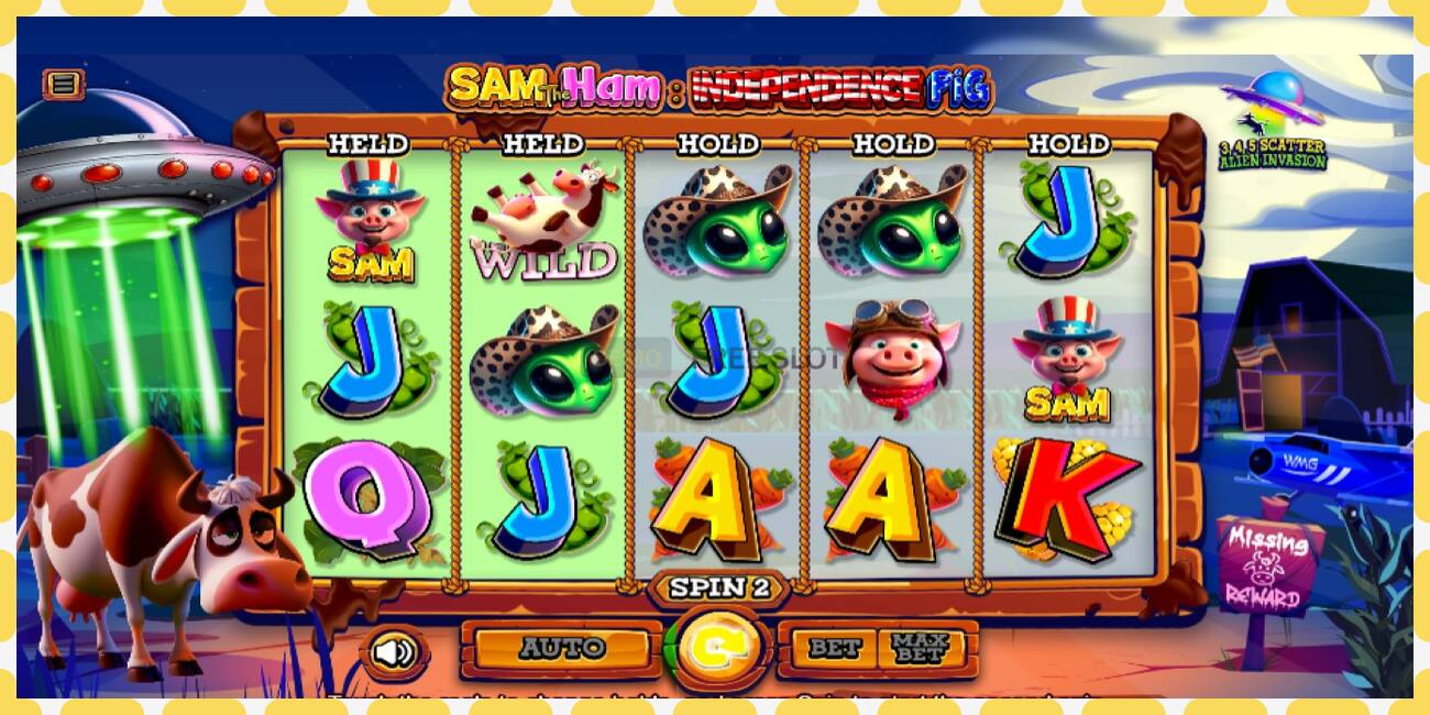 Demo slot Sam The Ham Independence Pig free and without registration, picture - 1