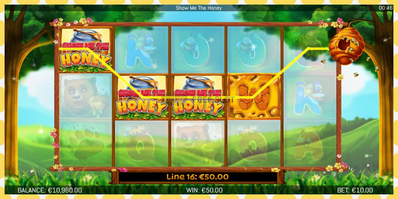 Demo slot Show Me The Honey free and without registration, picture - 1