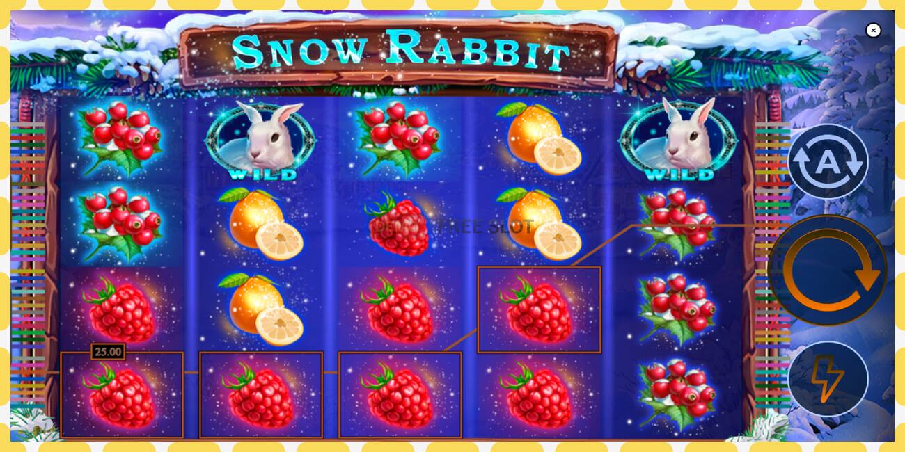 Demo slot Snow Rabbit free and without registration, picture - 1