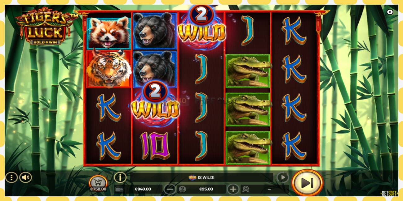 Demo lizdas Tigers Luck nemokamai ir be registracijos, paveikslėlį - 1