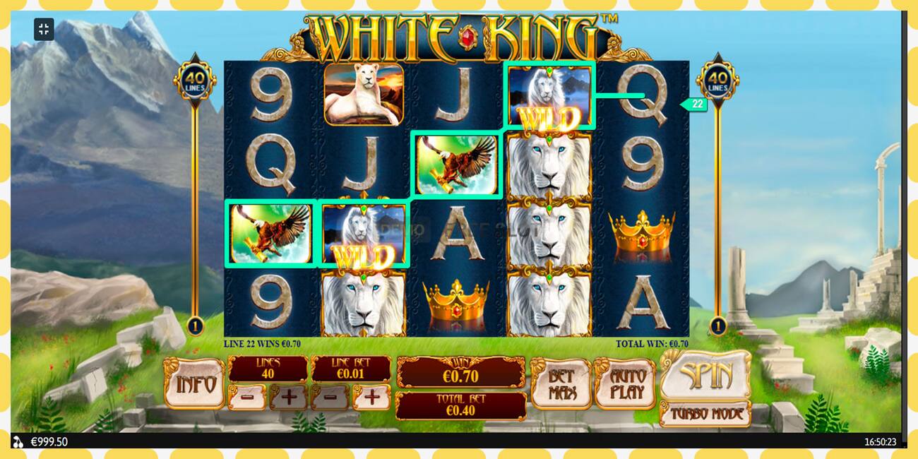 Demo slot White King free and without registration, picture - 1