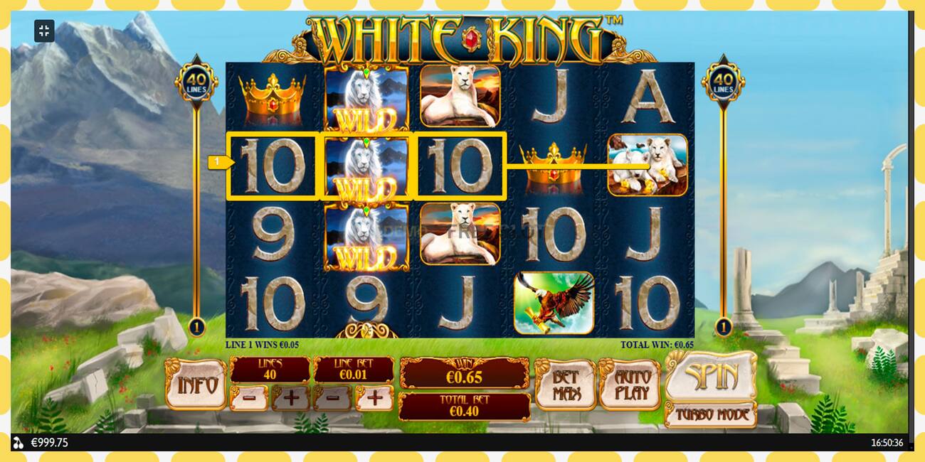 Demo slot White King free and without registration, picture - 1