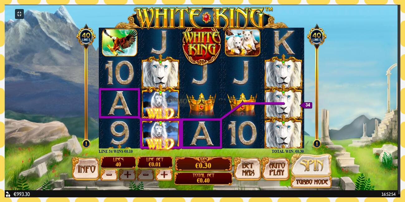 Demo slot White King free and without registration, picture - 1