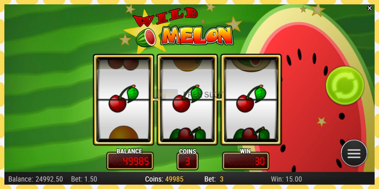 Slot demo Wild Melon gratuit și fără înregistrare, imagine - 1