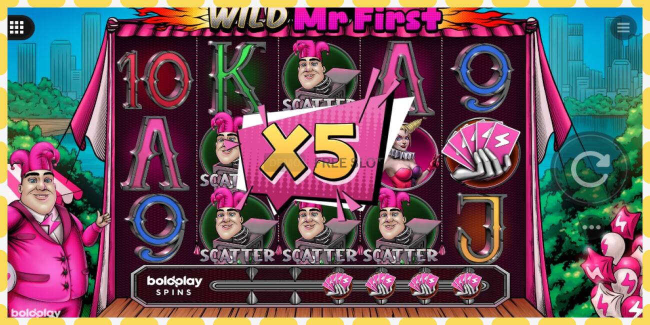 Demo slot Wild Mr. First free and without registration, picture - 1