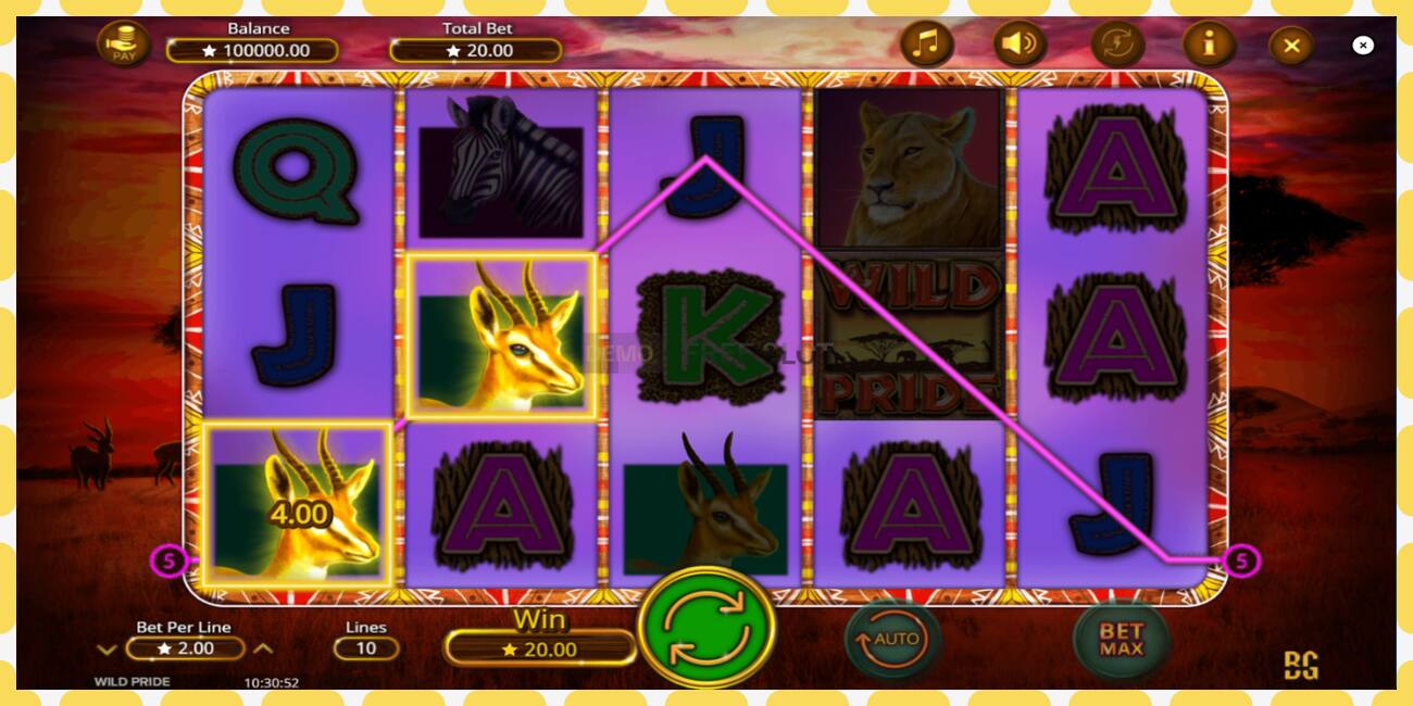 Demo slot Wild Pride free and without registration, picture - 1